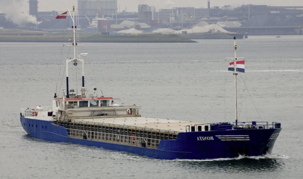 Bonita - 1469