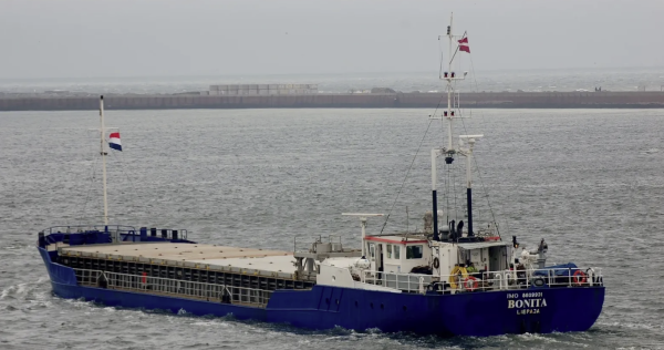 Bonita - 1469